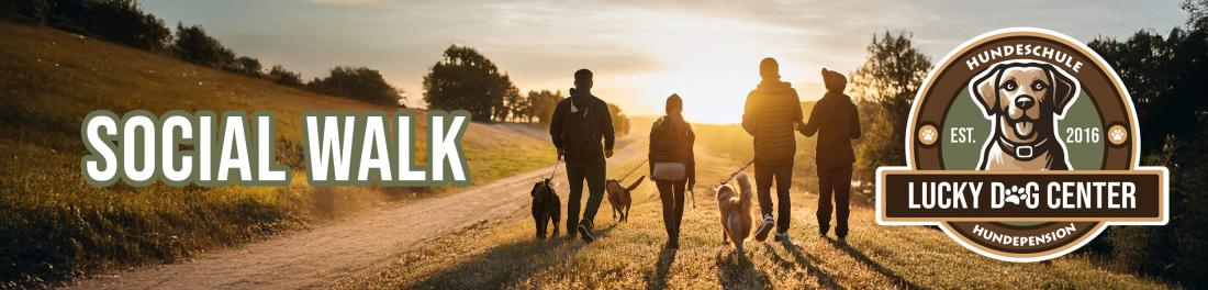 Social Walk – Geführter Spaziergang 