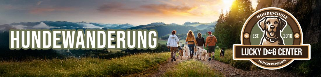 Wanderung-für sozial verträgliche Hunde