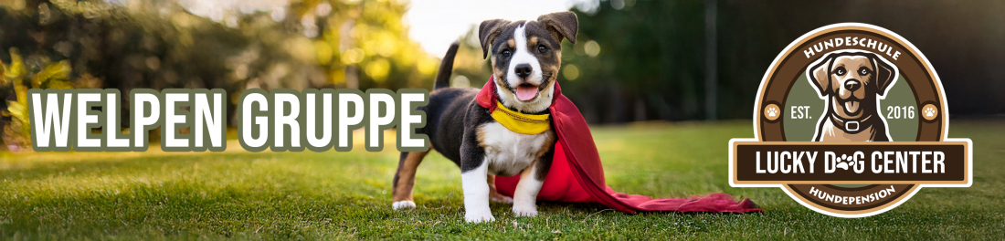 Welpen Gruppe