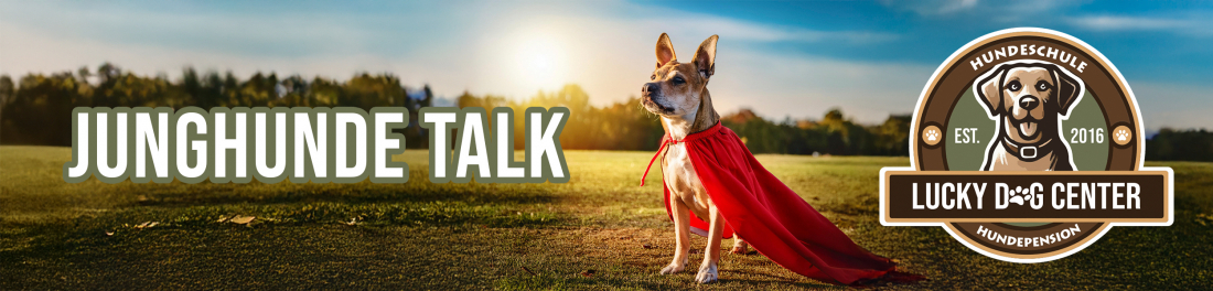 Junghunde Talk Online