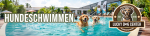Hundeschwimmen im KOI – Wir sind wieder mit dabei! 💦🐾