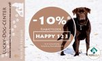 Zusammenarbeit mit Rudelheld